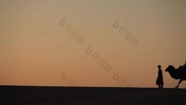 骆驼大篷车剪影在沙漠中间的日落
